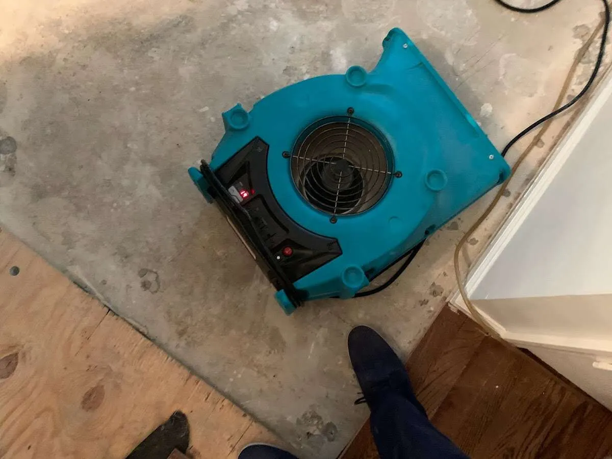 Air mover drying subfloor during Leak Detection & Repair in Shady Hills